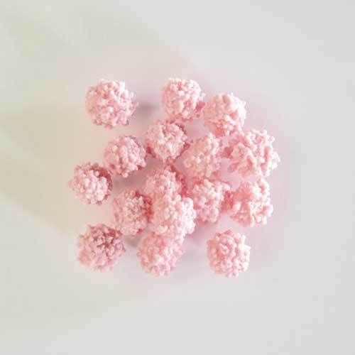 Zucker-Mimosen, rosa